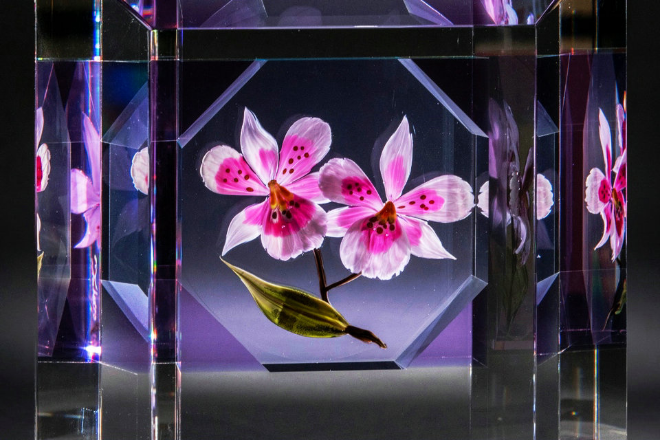 Blumen aus der Flamme, Glasmuseum Bergstrom-Mahler